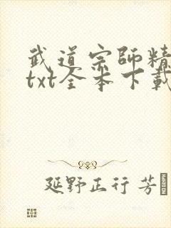 武道宗师精校版txt全本下载