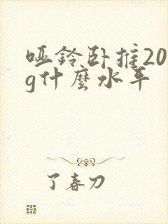 哑铃卧推20kg什么水平