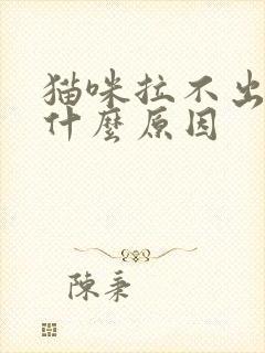 猫咪拉不出尿是什么原因