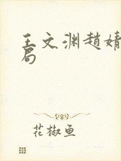 王文渊赵婧大结局