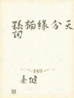 孙楠缘分天空歌词