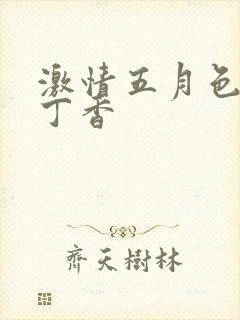 激情五月色婷婷丁香