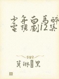 少年白马醉春风电视剧12集免费播放在线封面