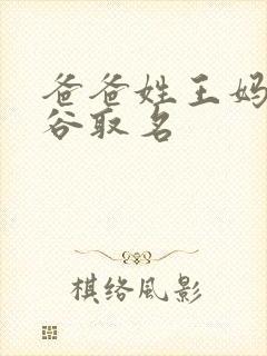 爸爸姓王妈妈姓谷取名封面