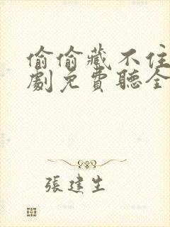 偷偷藏不住广播剧免费听全集