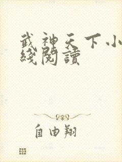 武神天下小说在线阅读