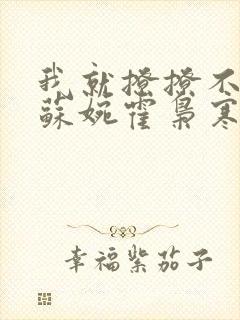 我就撩撩不负责苏婉霍枭寒全文免费阅读