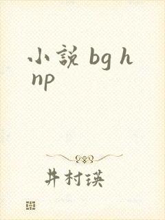 小说 bg h np封面