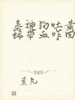 泰迪狗吐黄水拉稀带血咋回事