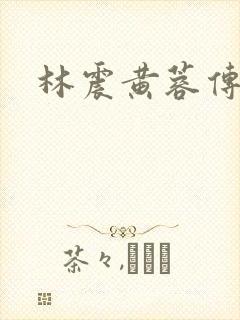 林震黄蓉传38