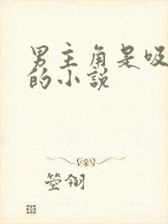 男主角是吸血鬼的小说