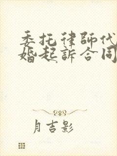 委托律师代理离婚起诉合同封面