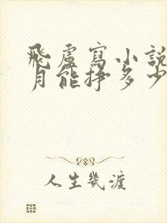 飞卢写小说一个月能挣多少钱封面