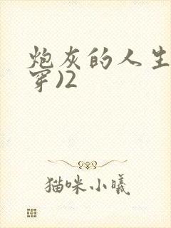 炮灰的人生(快穿)2