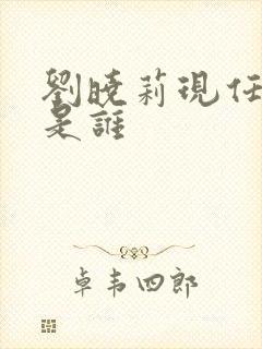 刘晓莉现任丈夫是谁