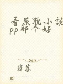 看原耽小说的app哪个好