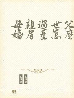 母亲过世父亲再婚房产怎么继承封面