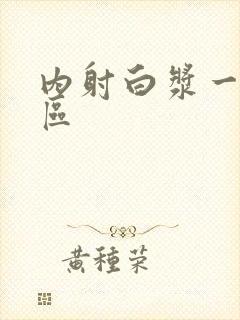 内射白浆一区二区