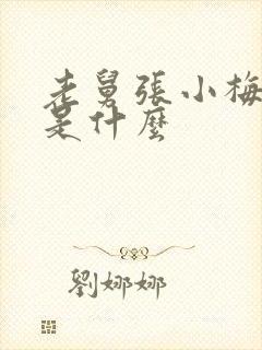 老舅张小梅结局是什么封面