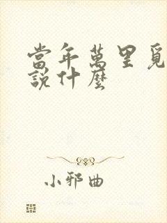 当年万里觅封侯说什么