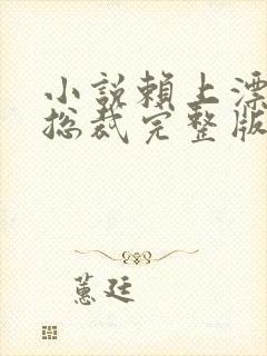 小说赖上漂亮女总裁完整版