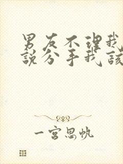 男友不理我也不说分手我该怎么办