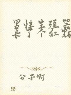 男性生殖器上面长了个红点