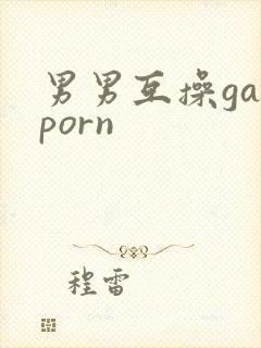男男互操gayporn封面