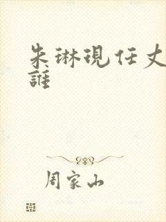 朱琳现任丈夫是谁封面