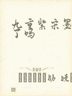 九重紫宋墨纳妾了吗