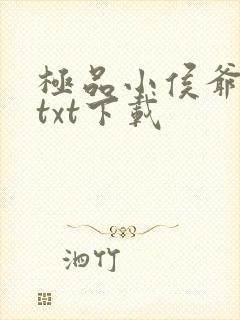 极品小侯爷免费txt下载
