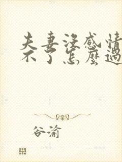 夫妻没感情又离不了怎么过封面