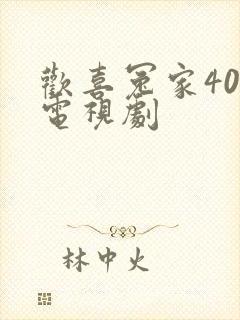 欢喜冤家40集电视剧