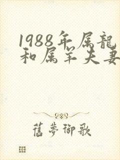 1988年属龙和属羊夫妻好不好封面