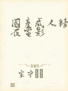 国产成人精品午夜电影封面