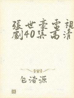 张世豪电视连续剧40集高清