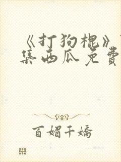 《打狗棍》70集西瓜免费观看