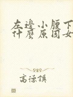 左边小腹下边痛什么原因女性