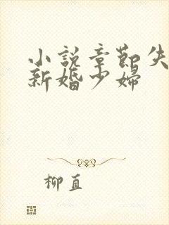 小说章节失身的新婚少妇