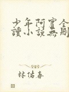 少年阿宾全文阅读小说无删减