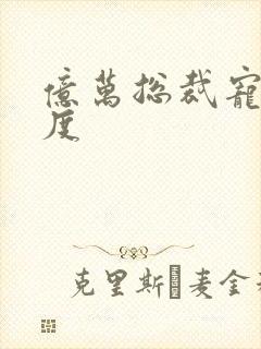 亿万总裁宠妻无度