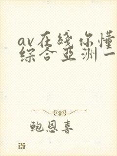 av在线你懂的综合亚洲一区