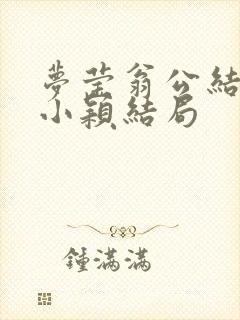梦莹翁公结局后小颖结局封面