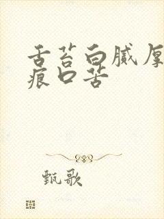 舌苔白腻厚有齿痕口苦