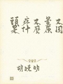 头疼又晕又想吐是什么原因