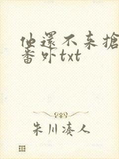 他还不来抢走我番外txt