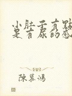 小肚子有点胀总是有尿的感觉