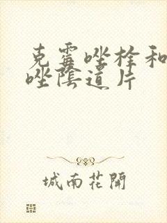 克霉唑栓和克霉唑阴道片封面