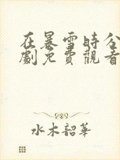 在暴雪时分电视剧免费观看完整