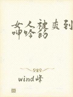 女人被爽到高潮呻吟的